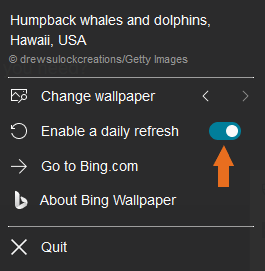 Bing Wallpaper