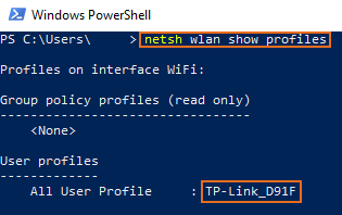 network password - show profiles